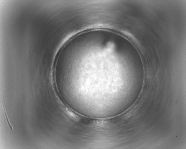 X0000066091278200603101156