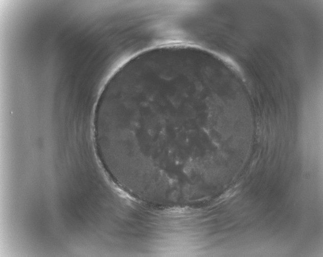 X0000066091279200603101156