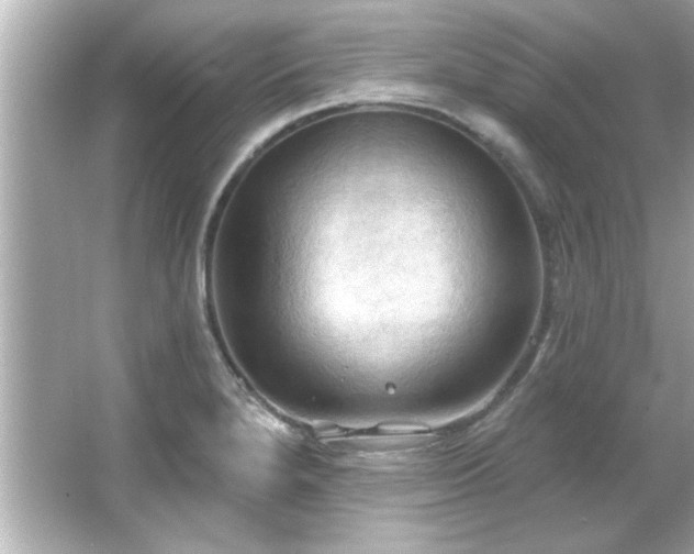 X0000066091280200603101156