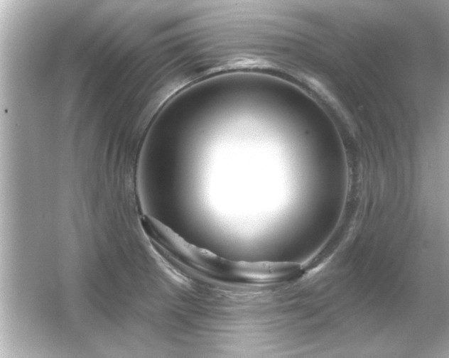 X0000066091281200603101156