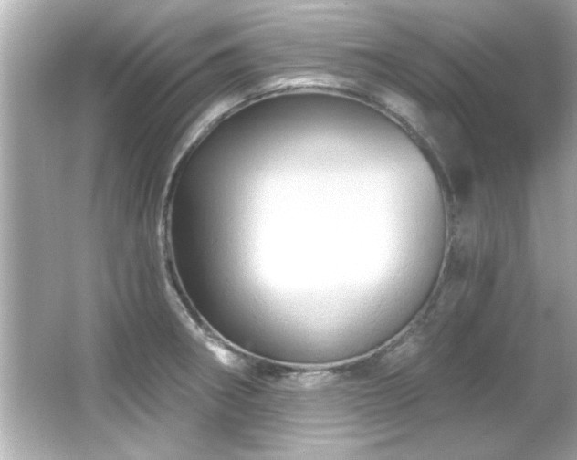 X0000066091282200603101156