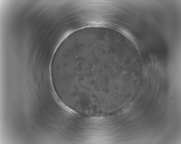 X0000066091283200603101156