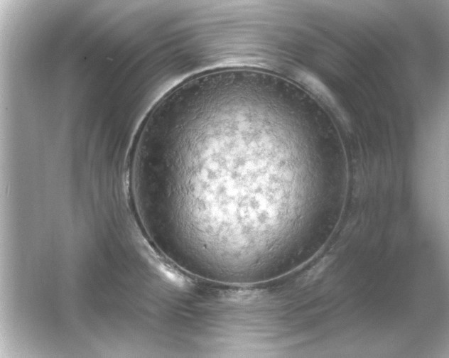 X0000066091284200603101156