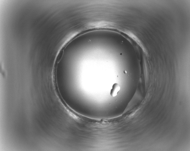 X0000066091285200603101156