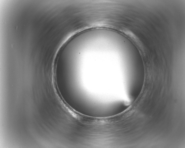 X0000066091286200603101156