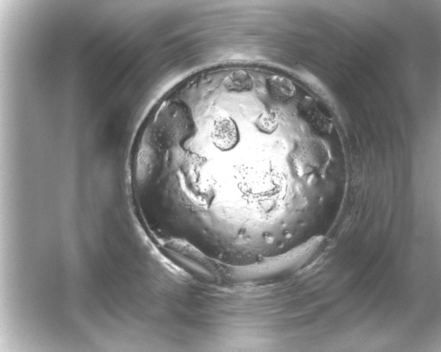 X0000066091287200603101156