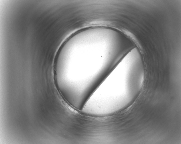 X0000066091288200603101156