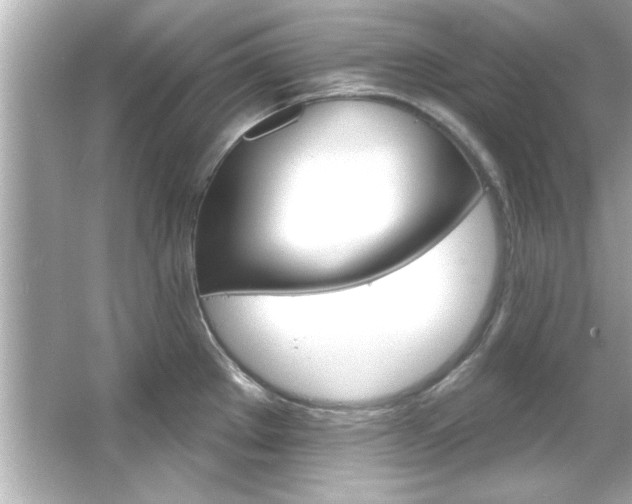 X0000066091289200603101156