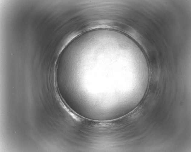 X0000066091290200603101156