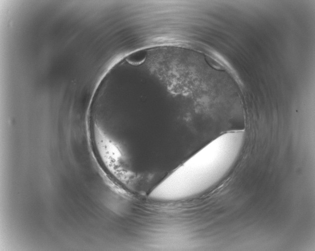 X0000066091291200603101156