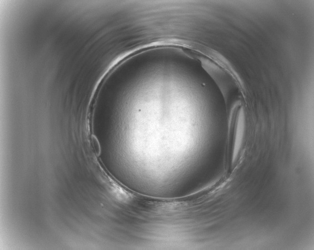 X0000066091292200603101156