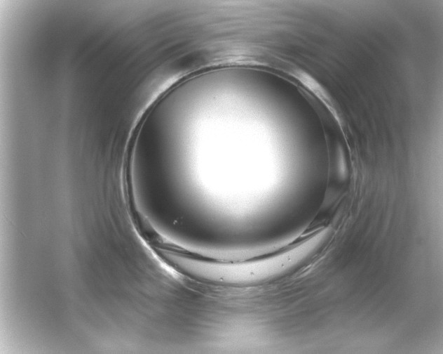 X0000066091293200603101156