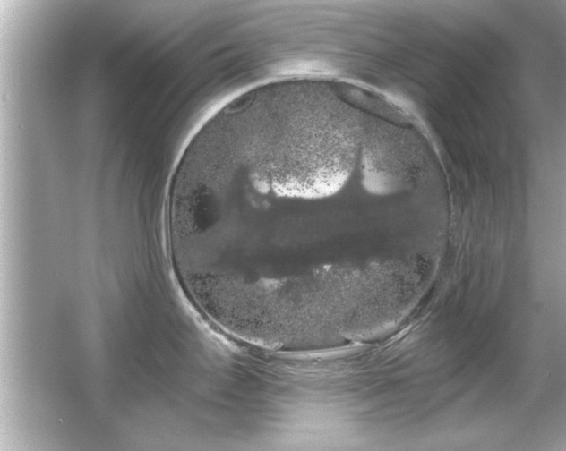 X0000066091295200603101156