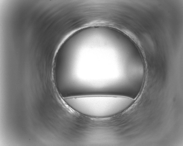 X0000066091296200603101156