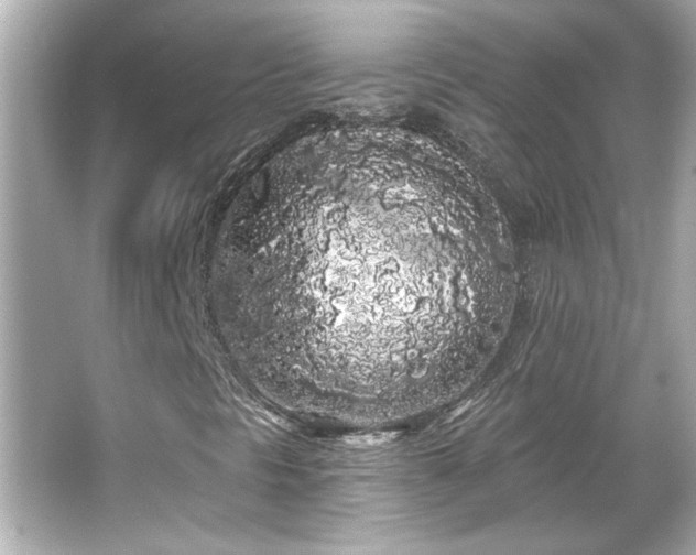 X0000066091297200603101155