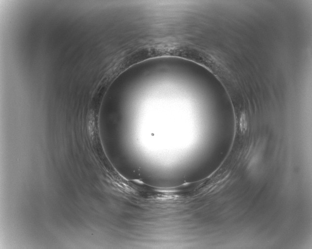 X0000066091299200603101155