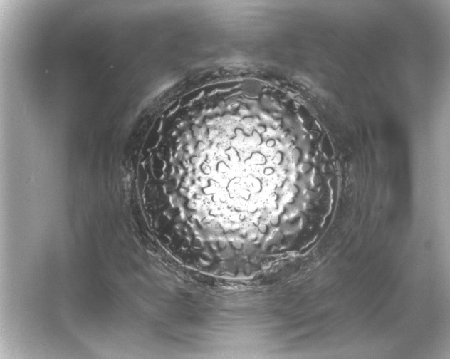 X0000066091302200603101155