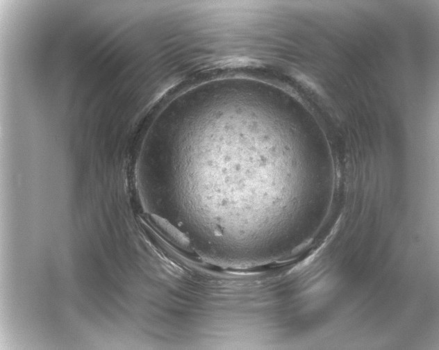 X0000066091305200603101156