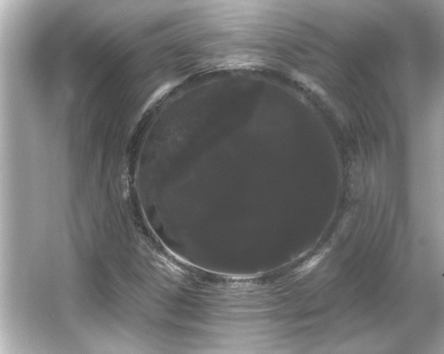 X0000066091306200603101156