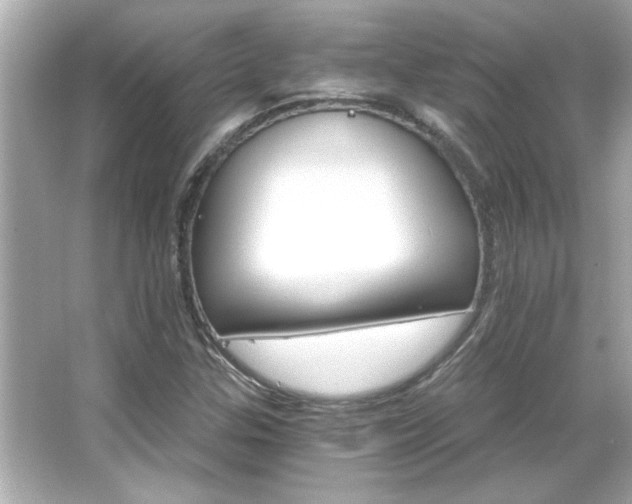 X0000066091307200603101156