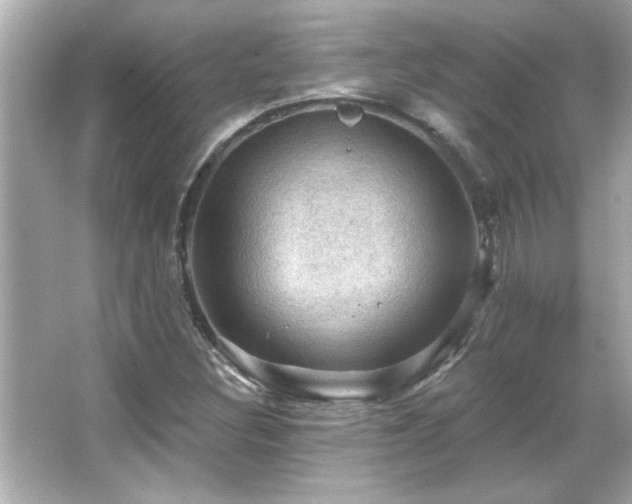 X0000066091308200603101156