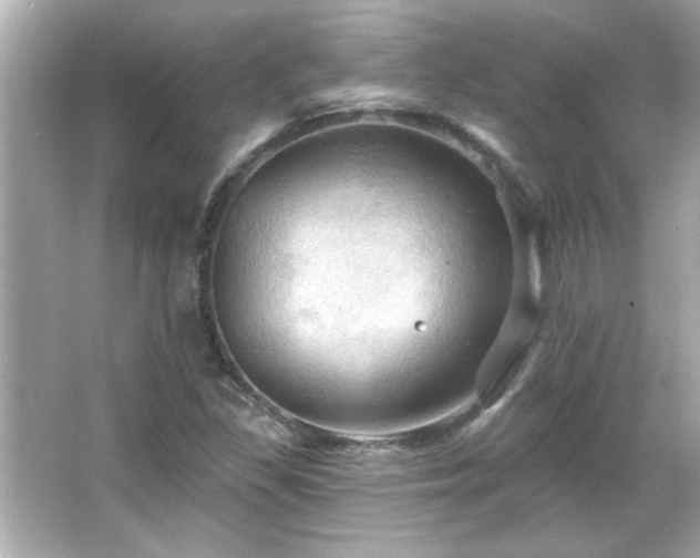 X0000066091309200603101156