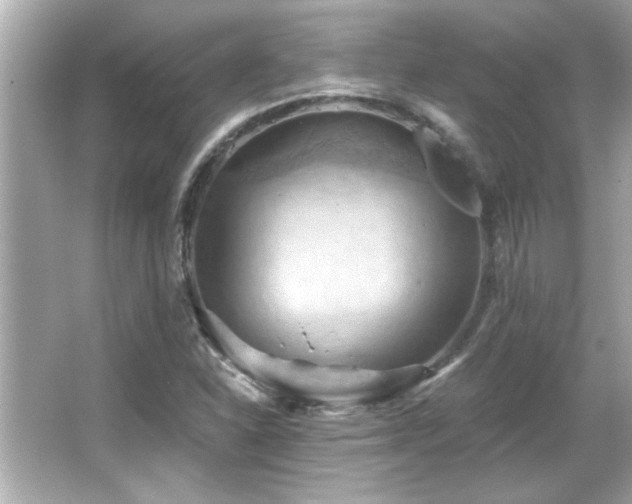 X0000066091310200603101156