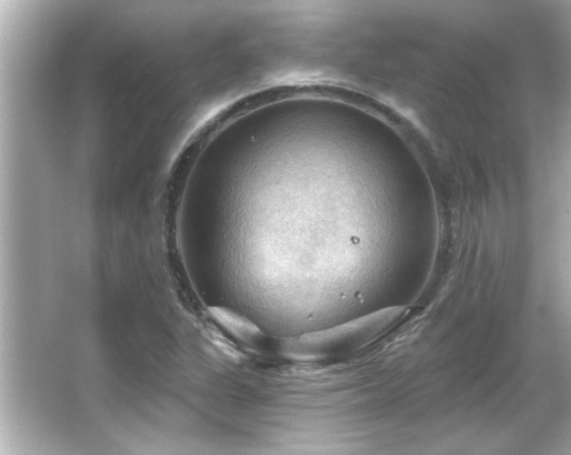 X0000066091311200603101156