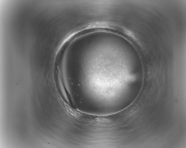 X0000066091312200603101156