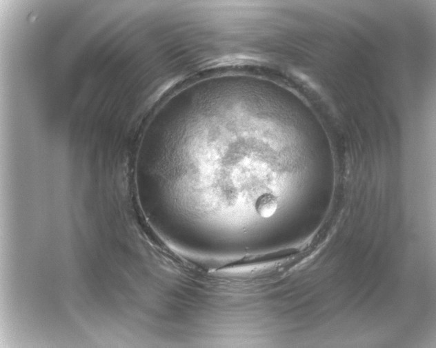 X0000066091313200603101156