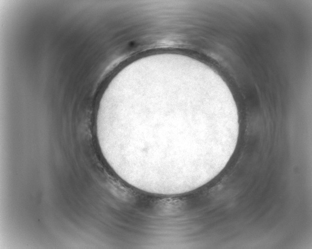 X0000066091314200603101156