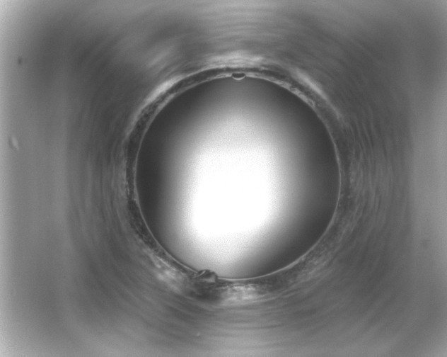 X0000066091315200603101156