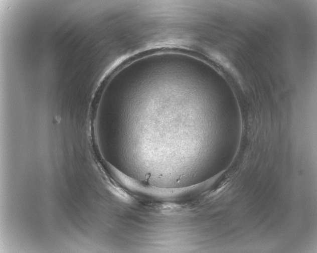 X0000066091316200603101156