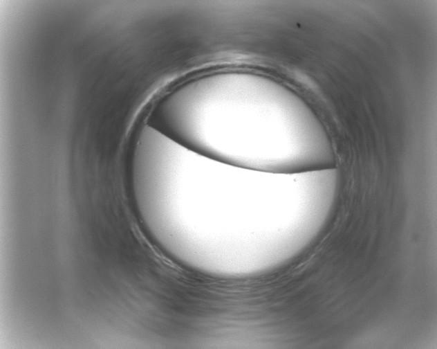 X0000066091318200603101156