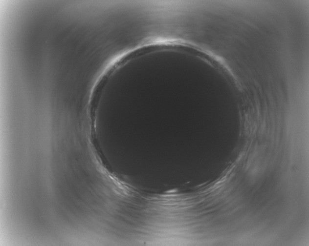 X0000066091319200603101156