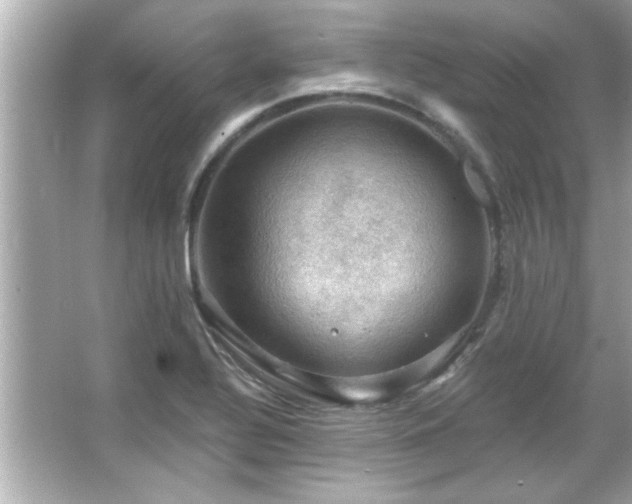 X0000066091320200603101156