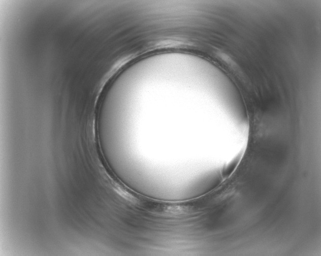 X0000066091322200603101156