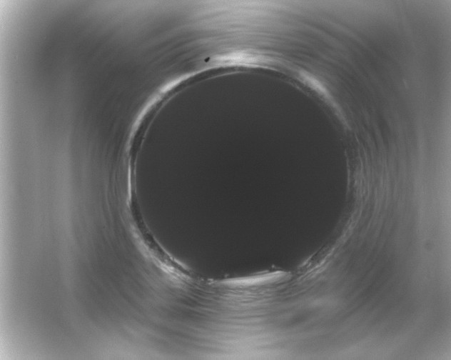 X0000066091323200603101156