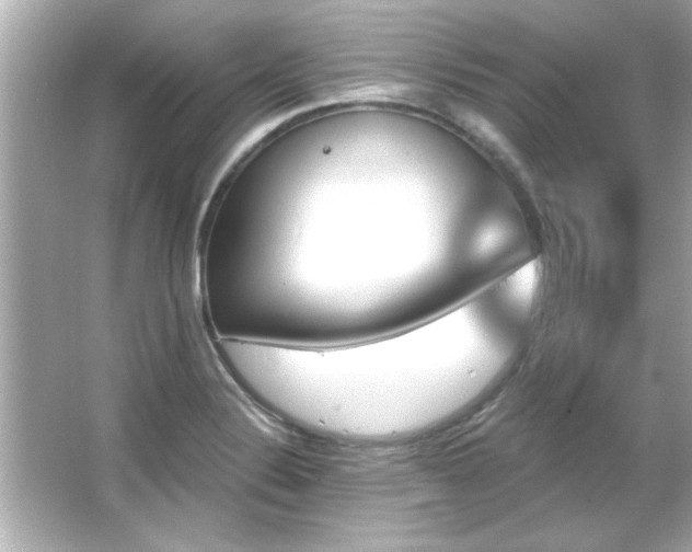 X0000066091324200603101156