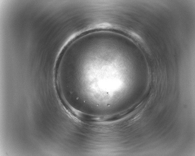 X0000066091326200603101156