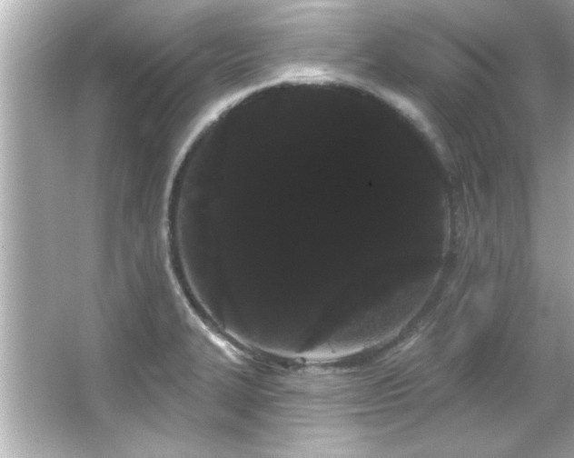 X0000066091327200603101156