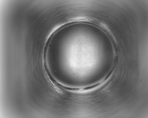 X0000066091328200603101156