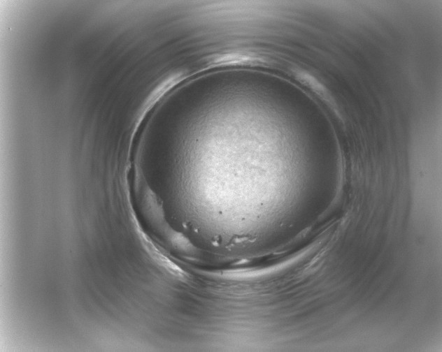 X0000066091330200603101156