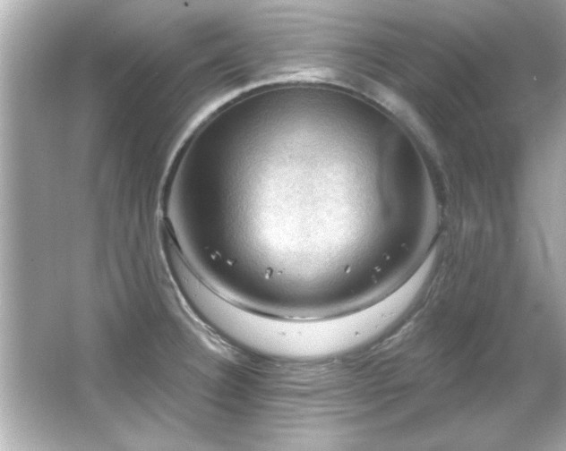 X0000066091332200603101156