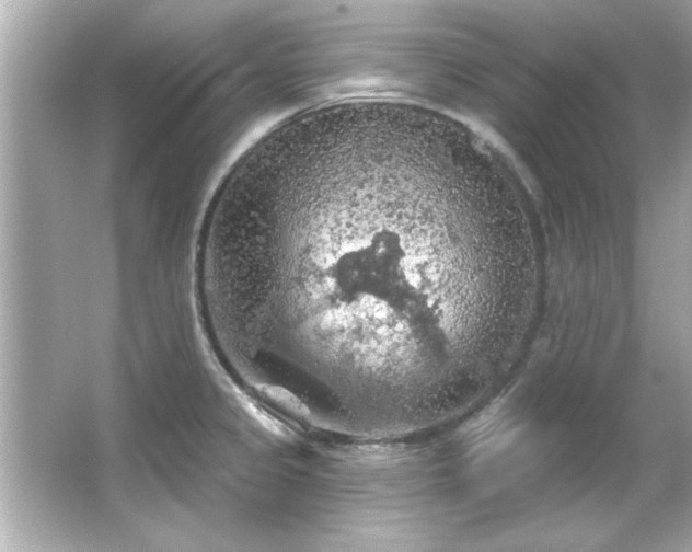 X0000066091333200603101156