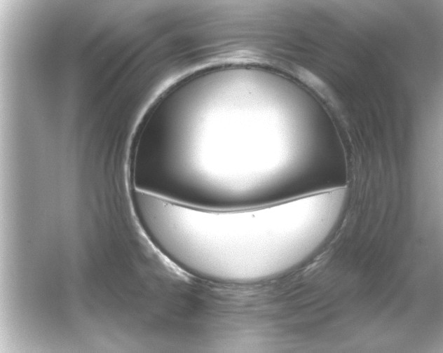 X0000066091334200603101156