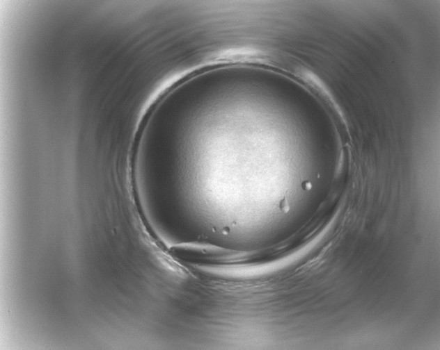 X0000066091336200603101156