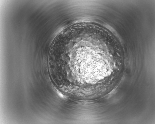 X0000066091337200603101156