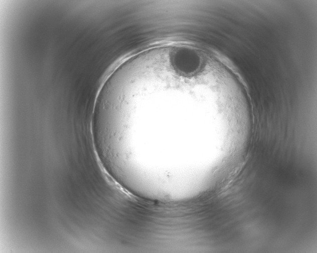 X0000066091338200603101156