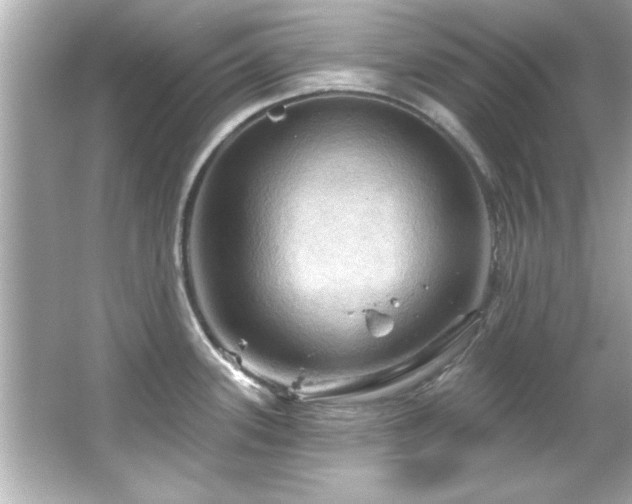 X0000066091339200603101156